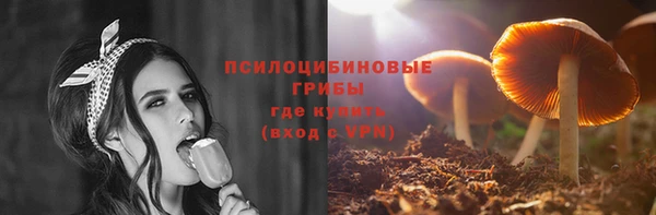 мяу мяу мука Каменногорск