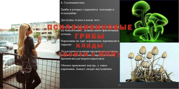 герыч Каменка