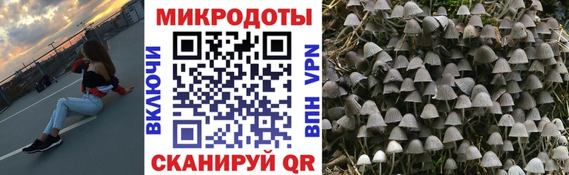 Галлюциногенные грибы Cubensis Павловский Посад